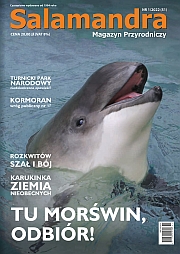 Aktualny numer
