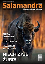 Aktualny numer