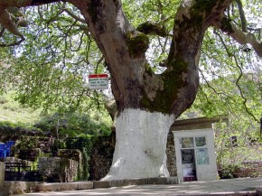 Monument Natyre – oznakowanie pomnika przyrody po albańsku