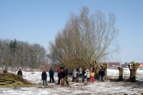 Mimo zimowej aury, chętnych do prac nie brakowało