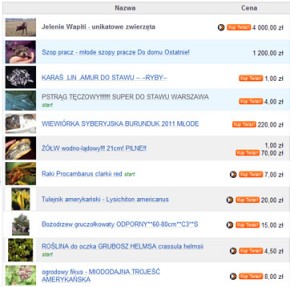 Przykładowe oferty sprzedaży okazów obcych gatunków inwazyjnych na jednym z internetowym serwisów aukcyjnych - niewielka część ogłoszeń z jednego dnia