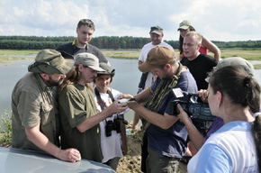 Podczas lipcowego obozu został zaobrączkowany młody szablodziób