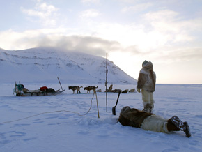 Innuici wykorzystują skóry z niedźwiedzi polarnych do wytwarzania ciepłej odzieży niezbędnej w surowych warunkach Arktyki