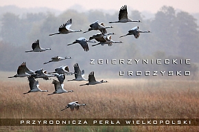 Strona tytułowa diaporamy powstałej w ramach projektu promującego Zgierzynieckie Uroczysko