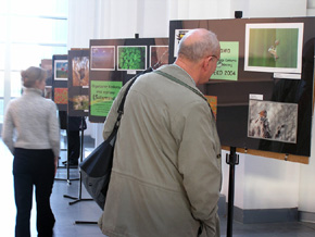 Od wielu lat, dzięki uprzejmości Międzynarodowych Targów Poznańskich, pierwsza ekspozycja wystawy pokonkursowej organizowana jest podczas Międzynarodowych Targów Ochrony Środowiska POLEKO
