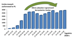 Okres zakazów i ograniczeń korzystania z lasów na tle liczb nowych zachorowań na COVID-19 stwierdzanych w kraju w pierwszych 15 tygodniach występowania pandemii w Polsce (dane WHO)