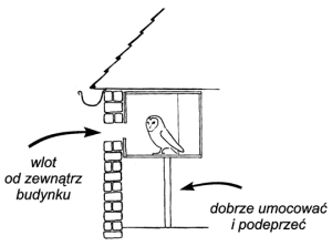 Sposób montażu skrzynki dla płomykówki